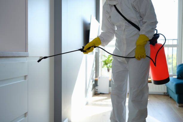 Office Mold Removal Services in Carver, MN